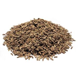 Bylík Fenykl plod 50g