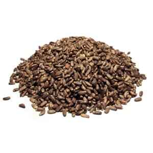 Bylík Ostropestřec plod 100g