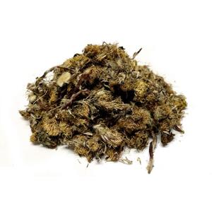 Bylík Podběl květ 100g