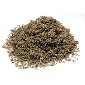 Bylík Průtržník nať 150g