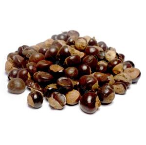Bylík Guarana plod 100g
