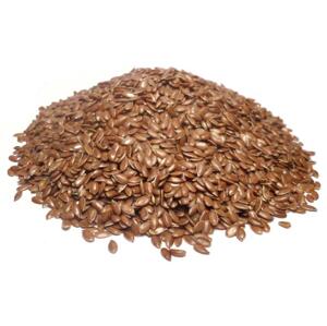 Bylík Len hnědý semeno 100g