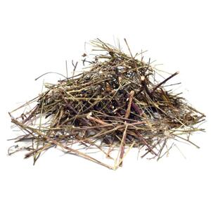 Bylík Canchalagua  nať 30g