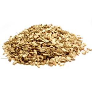 Bylík Andělika plod 50g