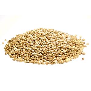 Bylík Konopné  semínko neloupané 150g