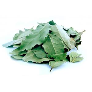 Bylík Bobkový list list tříděný 10g