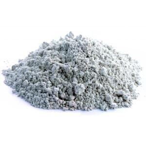 Bylík Česnek  mletý 100g