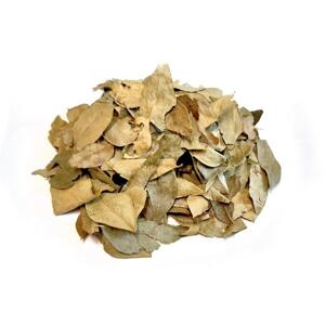 Bylík Karí lístky list 100g