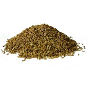 Bylík Kmín celý 100g