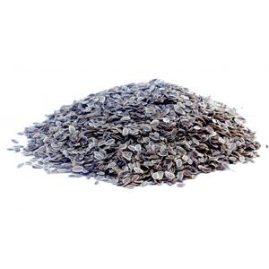Bylík Kopr semeno 50g