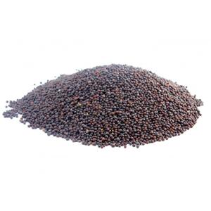 Bylík Hořčice černá celá 150g