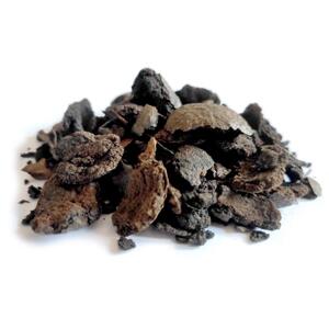 Bylík Ořešák černý oplodí 250g