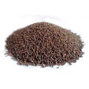 Bylík Kokotice semeno 250g