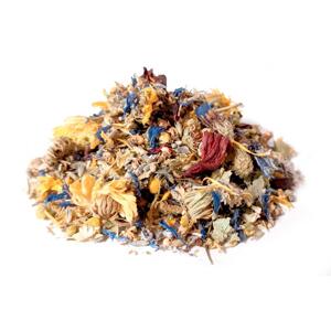 Bylík Činčily bylinková směs 150g
