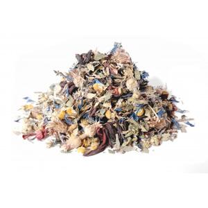 Bylík Psi bylinková směs 50g