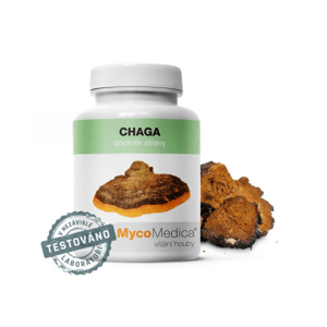 MycoMedica Chaga 90 kapslí