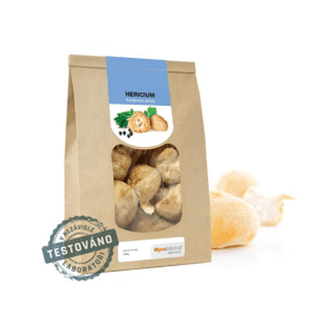 MycoMedica Hericium sušený 100 g