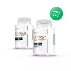 2x Zerex Chaga Extrakt 40% 2x 60 kapslí