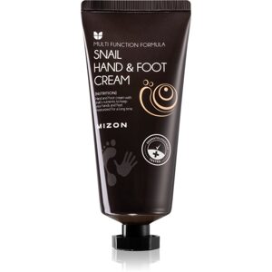 MIZON Krém na ruce a nohy Multi Function Formula Hand & Foot Cream - Snail (100 ml)