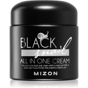 MIZON Prémiový pleťový krém Black Snail All In One Cream (75 ml)