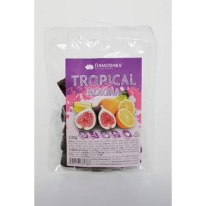 Damodara Ovocná Kokina - Tropical 100g