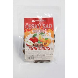 Damodara Ovocná Kokina - Český sad 100g