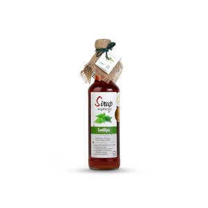 Sirup Camellus Klasik Kopřivový 0,5 l