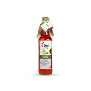 Sirup Camellus Klasik Lipový 0,5 l