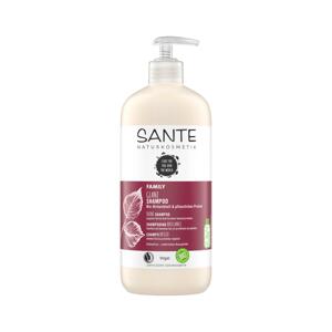 SANTE FAMILY Šampon na lesk Bio Březové lístky & Rostlinné proteiny 500 ml