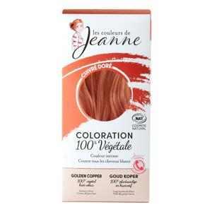 Les couleurs de Jeanne Barva na vlasy měděná zlatá 2 x 50 g