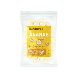 Allnature Ananas sušený mrazem kousky  20 g