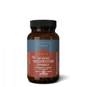 Terranova Health Synergie adaptogenních hub BIO 50 ks