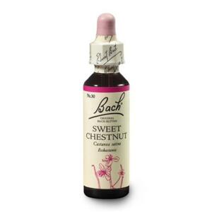 Dr. Bach Esence Sweet Chestnut 20 ml