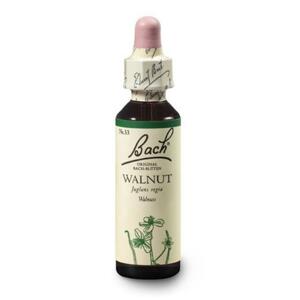 Dr. Bach Esence Walnut 20 ml