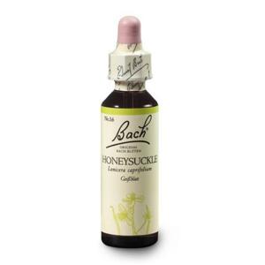 Dr. Bach Esence Honeysuckle 20 ml