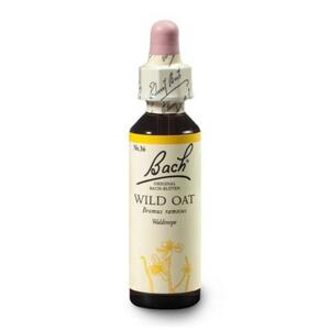 Dr. Bach Esence Wild Oat 20 ml