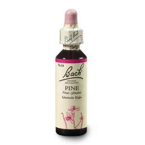 Dr. Bach Esence Pine 20 ml