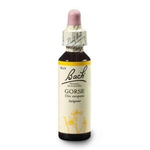 Dr. Bach Esence Gorse 20 ml