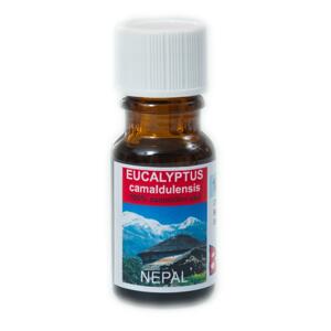 Chaudhary Biosys Eucalyptus camaldulensis 10 ml