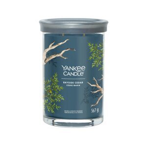 Yankee Candle Tumbler Bayside Cedar vonná svíčka 567 g