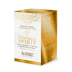 Ra Hygge BIO Inspired Spirit bylinný čaj s Lion´s mane 16 sáčků