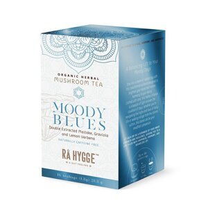 Ra Hygge BIO Moody Blues bylinný čaj s Maitake 16 sáčků