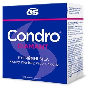 GS Condro Diamant 120 tablet