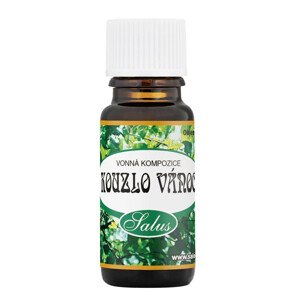 Saloos esenciální olej Kouzlo Vánoc 10 ml