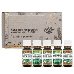 Saloos Vánoční pohoda vonné oleje 5x10 ml