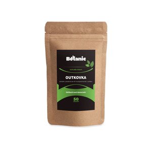 Outkovka (Coriolus) - Extrakt z plodnice se 40 % polysacharidů v prášku (Balení obsahuje: 50g)