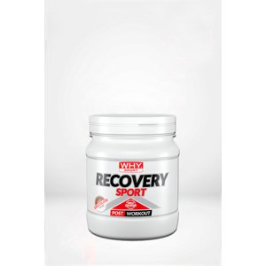 Whysport Recovery Sport - potréninkový přípravek