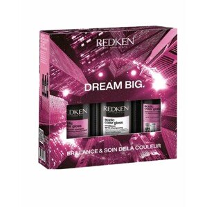 REDKEN DREAM BIG Acidic Color Gloss Shine & Color Care Set