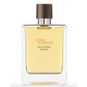 HERMES Terre D'Hermes Intense EDP, 100 ml