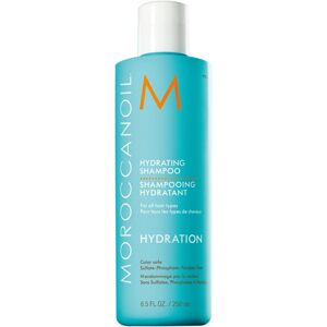 Moroccanoil hydratační šampon 250 ml